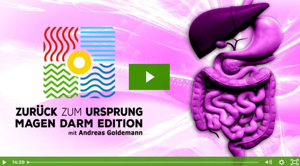 Zurück zum Ursprung - Magen-Darm-Edition