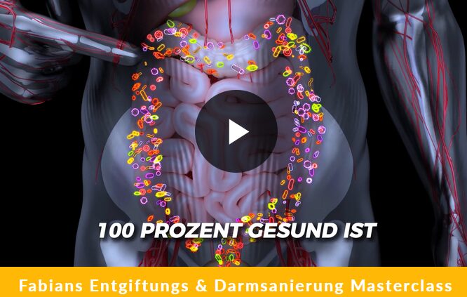 Entgiftung Darmsanierungs Masterclass erfahrungen